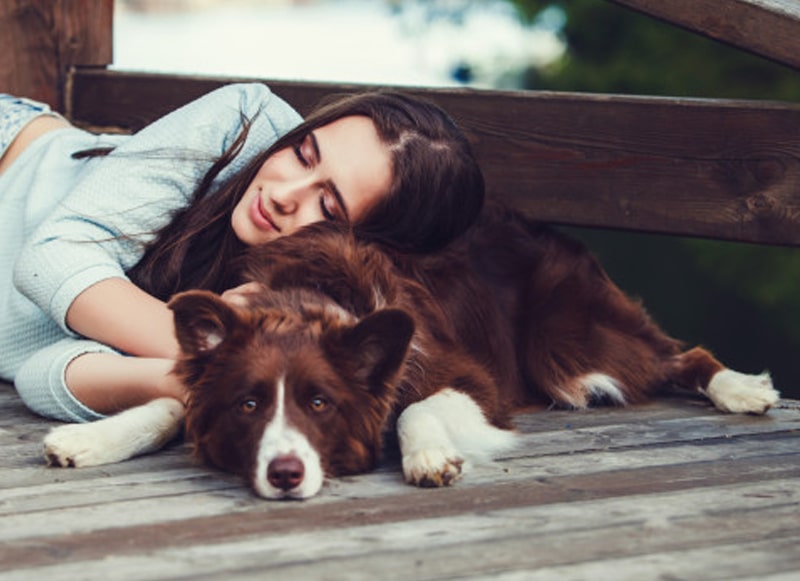 Köpeğinizi Seviyor Musunuz?